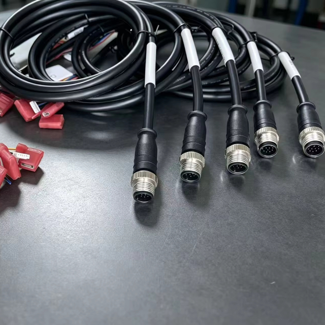 M12 a Code Male 12pin 17pin Straight Molded Type Cable Connector for Sensor Joint and Cable Injection fusion Without Loose Gaps