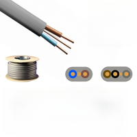 BS6004 Twin Flat Fire Kabel mit Erdung 6242Y 2,5mm Elektrokabel BVVB RVVB TPS CE PVC Elektrisches Kupfer Grau Twin Earth Kabel