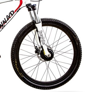 Keyde 250W <span class=keywords><strong>bicicleta</strong></span> Hub Dynamo <span class=keywords><strong>bicicleta</strong></span> eléctrica Hub Motor conversión Kit para <span class=keywords><strong>bicicleta</strong></span> - Product Image 5