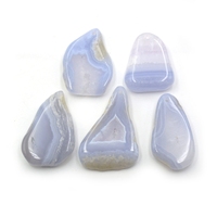 Pendentif en coquille d'œil de Shiva naturel en gros, coquillage bohème, fossiles de pierre, style classique, charmes en pierres précieuses pour la fabrication de colliers