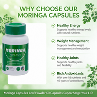Capsules de Moringa à Marque Blanche – Extrait de Poudre de Moringa en Capsules – Supplément Super Aliment Vert pour Soutenir le Métabolisme