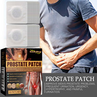 Soins personnels pour hommes Autocollants à base de plantes pour la prostate Patch anti-douleur Traitement pour mictions fréquentes Soins d'urgence pour la prostate