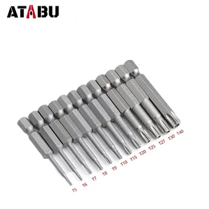 Factory wholesale T5 T8 T10 T15 T20 T25 T30 T35 T40 torx screwdriver bits