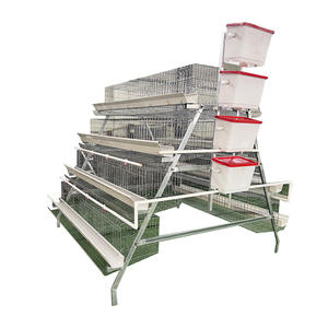 Yeni 10000 katmanlı tavuklar çiftlik kuş otomatik kümes hayvancılığı çelik pil kafes a tipi tavuk kümesi ev satılık - Product Image 6