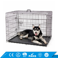Niche Double porte en métal pliable pour chien, Cage robuste pour animaux domestiques