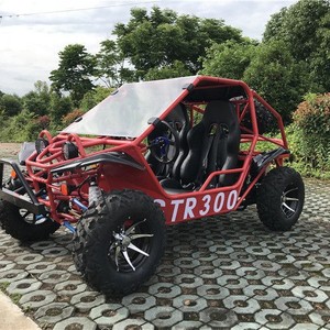 GTR350 2-Seater Off-Road Buggy 300CC Water-Cooled 4-Stroke Gas Engine Adult Racing Go Kart Chain <b>Drive</b> <b>Disc</b> Brake - Product Image 2