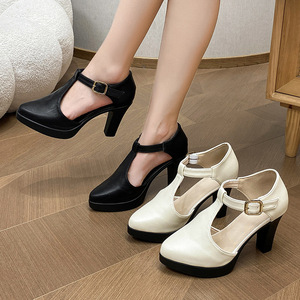Chaussures professionnelles pour femmes à talons hauts, grande taille, style rétro élégant, bout pointu, nouveau modèle d'automne, talon épais et ajouré - Product Image 4
