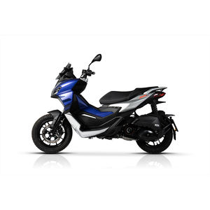 Pantalla SPORT de humo oscuro-ancho 30 x alto 29 x grosor 0,3 cm - Product Image 4