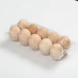 10 Holes Recycled Materials Egg Tray Transparent PET Blister Plastic Pack For Egg