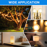 1W 2700K blanc givré LED Filament Garland E12/G40 Décoratif Globe Guirlande Lumineuse Remplacement Ampoule pour Backyard Outdoor SMD