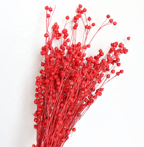 Usine en gros véritables arrangements de fleurs séchées <span class=keywords><strong>lin</strong></span> séché naturel pour la Saint-Valentin maison et mariage décor Bouquet - Product Image 6