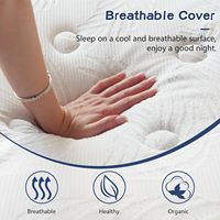 Luxuriöses Maßgefertigtes King/Queen Size Hotelbett mit Taschenfederkern, Memory-Schaum, Kühlend, Hypoallergen, Wohnmöbel