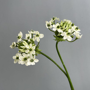 Flores Artificiales Bethlehem Star, Decoración para el <span class=keywords><strong>Hogar</strong></span>, Accesorios <span class=keywords><strong>de</strong></span> Fotografía, Artículos <span class=keywords><strong>de</strong></span> Decoración, Arreglos Florales para Bodas - Product Image 1