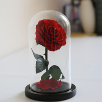 Idée de décoration surprise pour la Saint-Valentin, mariage, fête des mères : fleurs éternelles colorées et réelles préservées dans un dôme en verre, cadeau pour femme