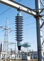 Parafoudre composite 32 kV à oxyde métallique pour boîtier, sans fente série externe ni anneaux de gradation