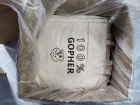 Sac en toile réutilisable pour cadeaux de mode, imprimé sur mesure, sac en toile calicot promotionnel, coton