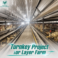 Système de cages à poulets en couches de type H haute densité avec système de collecte automatique des œufs et de nettoyage du fumier pour ferme avicole de 60 000 oiseaux