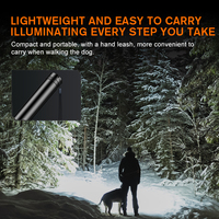 Lampe torche rechargeable en alliage d'aluminium L31 - 204LM, portée de 140 m, étanche IP43, 5 modes d'éclairage réglables, outil d'éclairage extérieur