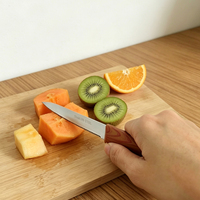 Fabrieksgroothandel RVS draagbaar rood fruitmes milieuvriendelijk keukengerei ambidextrous pp 10cm lemmet geweldig voor schillen