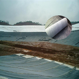 Chống thấm chăn HDPE Geo tổng hợp đất sét lót với 0.2mm bán chéo tùy chỉnh - Product Image 4