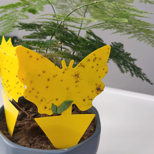 Trampa Adhesiva para Insectos de Material PC Sólido e Impermeable, para Plantas de Interior, Adhesivo en Forma de Mariposa Amarillo/Azul/Negro de Doble Cara para Jardinería - Product Image 3