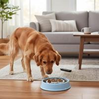Yommy Bol de Nourrissage Lent en Plastique Solide Arrondi pour Chiens et Chats, Diamètre 22cm, Léger, Durable, Antidérapant, avec Sillons Surélevés