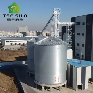 Silo à fond plat à grains d'approvisionnement d'usine pour le stockage du riz soja sorgho