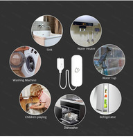 Tuya — alarme indépendant fuite d'eau WIFI, pour la maison, système de sécurité, capteur de débordement de l'eau