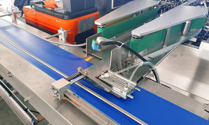 Encartonneuse automatique multi-fonctions pour <span class=keywords><strong>tennis</strong></span> <span class=keywords><strong>de</strong></span> <span class=keywords><strong>table</strong></span>, balles <span class=keywords><strong>de</strong></span> golf, biscuits, aliments, produits chimiques, quincaillerie - Product Image 4