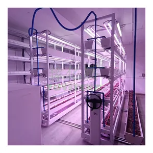 Equipamento de cultivo vertical com luzes LED para cultivo vertical inteligente