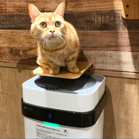 Airdog X5 Purificateur d'air pur éliminant les odeurs pour les allergies domestiques Cheveux d'animaux domestiques