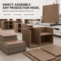 Style moderne, mélamine et panneaux de fibres à densité moyenne ordinaires, utilisés pour les panneaux de fibres dans les armoires sur mesure dans toute la maison