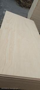 핫 세일 포플러 원목 판재 목재 가공용 모던 디자인 포름알데히드 방출 방수 접착 패널 - Product Image 3