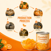 Segmentés d'orange mandarine en conserve 850g en sirop léger pour desserts de boulangerie, marque privée, taille personnalisée, fournisseur en gros