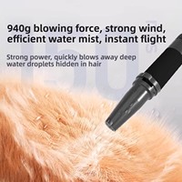 Ensemble de sèche-cheveux pour animaux de compagnie ShenBao 3000F à double moteur, sèche-cheveux professionnel pour chiens ou chats
