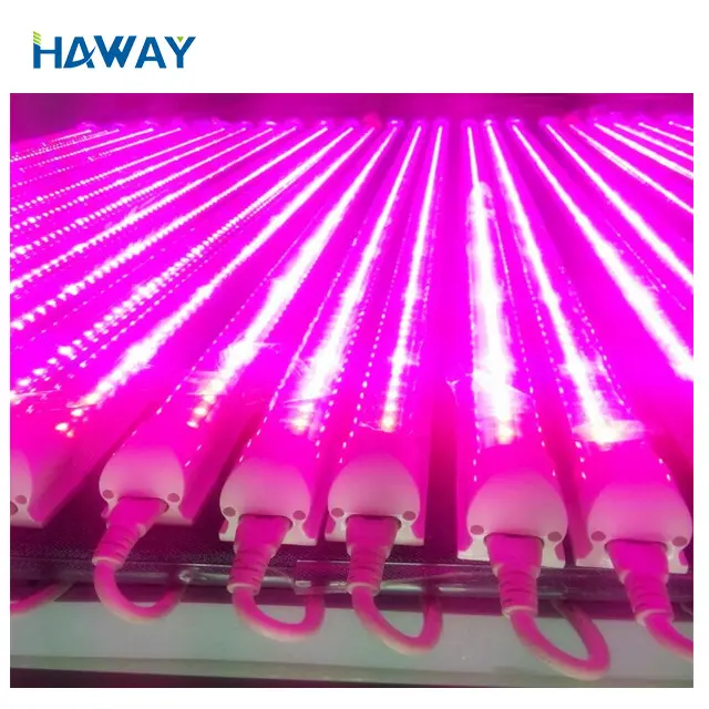 2024 Popular new products indoor plant light 4FT 8feet T8 full spectrum 1200mm 18W /25W led grow integrated tube 8 lights