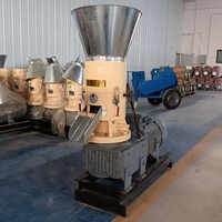 Machine à fabriquer des granulés d'herbe, ligne de production de granulés de bois biomasse/fournisseur de machine à granulés biomasse à matrice annulaire