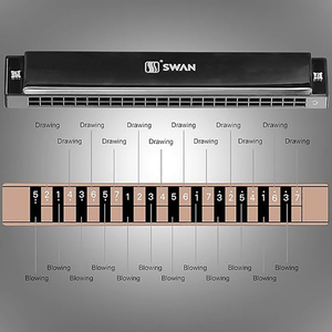 Venta al por mayor SWAN Principiantes 24 Agujero Polifónico Profesional Tono Completo Escala C Clave Tremor <span class=keywords><strong>Blues</strong></span> Armónica - Product Image 5