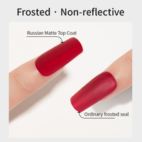 RS Nail Professional HEMA FREE Poudre antiadhésive Gel de finition givré Écologique Couche de finition mate russe longue durée