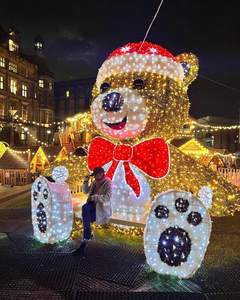 Oso de Peluche LED 3D Grande, IP65, Decoración Navideña para Exteriores, Centros Comerciales, Temática Animal de Lujo, Color Personalizable, Fácil de Instalar - Product Image 1