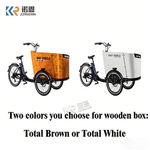 Triciclo Eléctrico Familiar con Caja de Pasajeros de Madera, Motor de 250W de Tracción Media, Transporte Seguro para Niños, para Desplazamientos Urbanos en Europa - Product Image 4