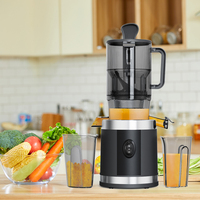 Multifunctionele huishoudelijke volautomatische elektrische slowjuicer pulpseparator gember