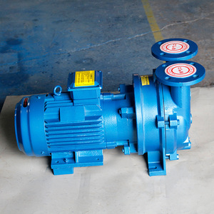 2BV Water Ring <b>Vacuum</b> <b>Pump</b> 380V Industrial <b>Pump</b> Head For Water Treatment Machinery - Product Image 1