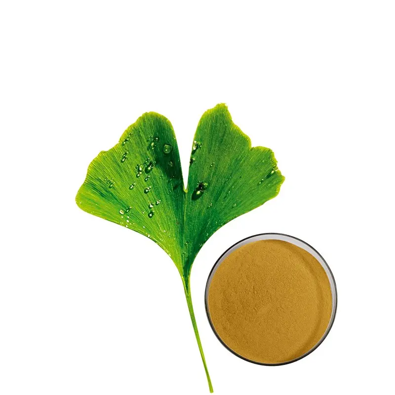 Groothandel Prijs Grade Ginkgo Biloba Leaf Extract Organische Ginkgo Biloba Extract Poeder Gingko Extract