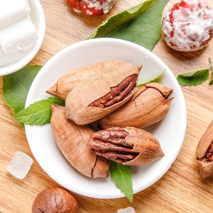 Noix de pécan pures et croquantes, collations saines et naturelles, vente en gros - Product Image 4