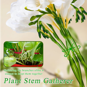 Support de tige de plante en plastique pour fixer les tiges de fleurs, organisateur de plantes de jardin - Product Image 5