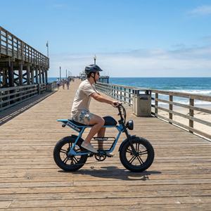 All Terrain Cruise elektrische fiets met dikke banden en voorvorkvering, robuuste dikkebanden e-bike voor ritjes op de pier en langs de loopplanken - Product Image 4