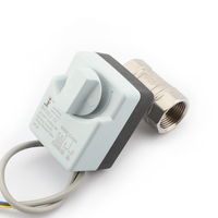 Vanne à boisseau sphérique motorisée 2 voies BSP NPT avec actionneur électrique 12V/24V/110V/220V pour eau OEM