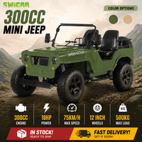 Prêt à être expédié, mini jeep 2 roues motrices, 300 cm3, refroidi par eau, 2 places, essence, tout-terrain, buggy des dunes pour adultes et enfants