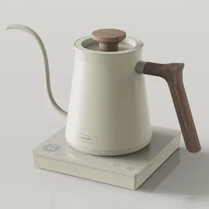 Ranbem – théière à café en acier inoxydable 600ML 1000W, bouilloire électrique à col de cygne avec contrôle de la température